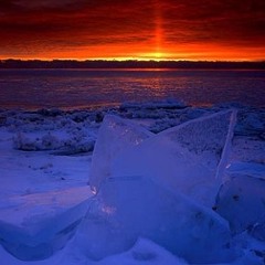 the sleep of winter
