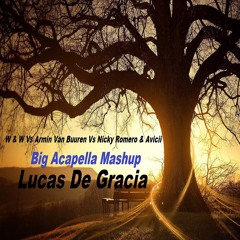 W & W Vs Armin Van Buuren Vs Nicky Romero & Avicii - Big Acapella Mashup (Lucas De Gracia)