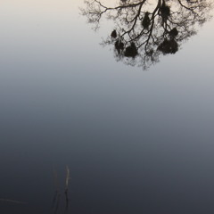 Fuck Your Cute Relationship Im Moving To Sj