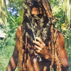 Roots and Culture