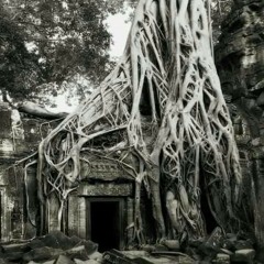 Netral -  tamat (Cover)