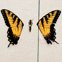 The Only Exception - Paramore Cover