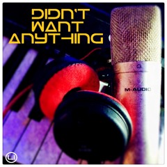 Didn't Want Anything (Feat Patricia Edwards)