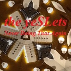 Never Doing That Again