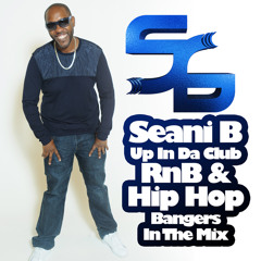 Seani B Up In The Club RnB & Hip Hop Mix 2015