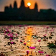 مما يريح السمع ويطرب له الفؤاد لـ إبراهيم النقيب - كل ماتسمعه لايف /نسمات هواك في #العنادل #شبكة_المجد