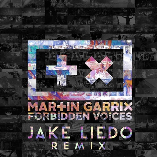 Martin Garrix - Forbidden Voices (Jake Liedo Remix)