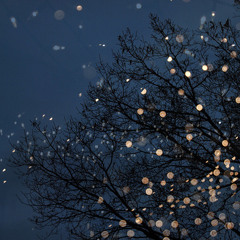 Seasons