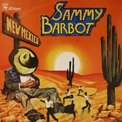 Sammy Barbot-New Mexico (Dj Tourettes Edit)
