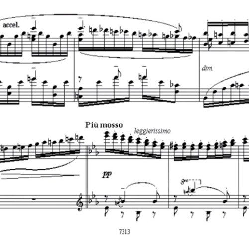 my whimsical wonderful