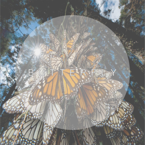 Nagulan Sun & Tareef Bey & Tahzir "BUTTERFLY"