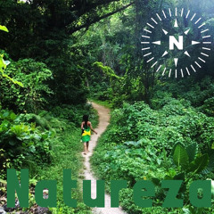1 - NAVEGANTES - NATUREZA (Single)