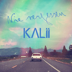 Glasperlenspiel - Nie Vergessen (Kalii x Joel Brandenstein Cover)