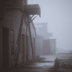 Walk With Me - Bird Announced Land