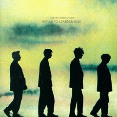 Never Stop ~ Echo & The Bunnymen