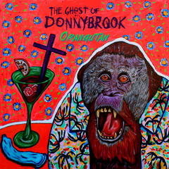 THE GHOST OF DONNYBROOK - Orangutan