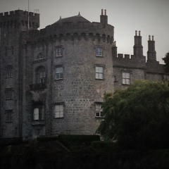 Birds At Killkenny Castel's Park