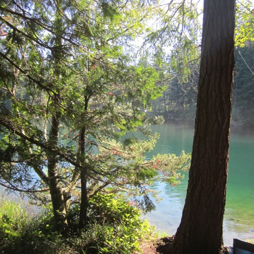 Color - Coder, By The Lake