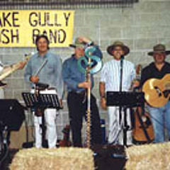 Snake Gully Bush Band - Home Among The Gumtrees