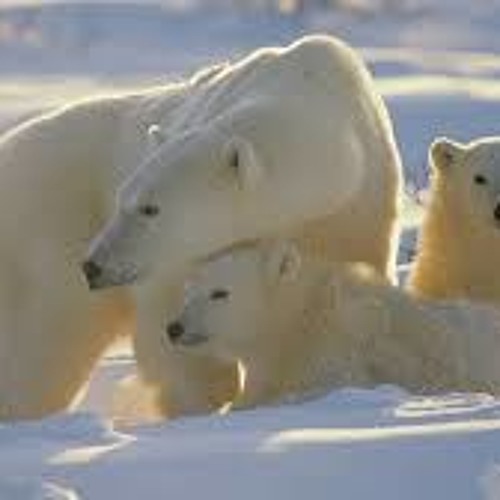 02 10 Uisa He Feofaaki by Sa Aholelei.