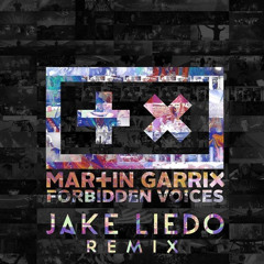 Martin Garrix - Forbidden Voices (Jake Liedo Remix)