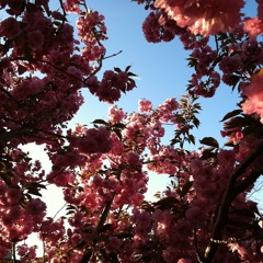 Will You Still Love Me Tomorrow