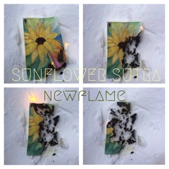 New Flame - Chris Brown (Sunflower Sutra Cover)