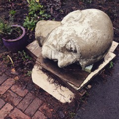 Twin Pickin' (The Twin Peaks Theme)