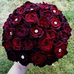 Where Have All The Flowers Gone - Peter, Paul and Mary [cover]