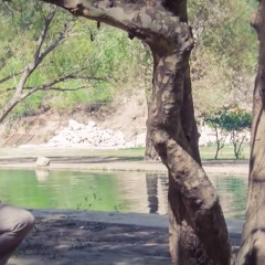 يا رب - براءالعويد