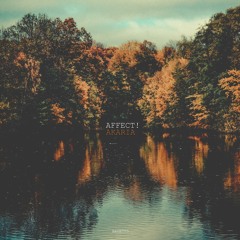 AFFECT! - AKARIA