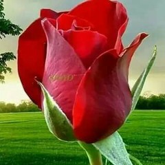 TURQUOIZE BOYZ (ru dinkn of me, like I'm dinkn of u?) at TBL