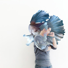 Lost - Michael Buble Cover By Ardhi