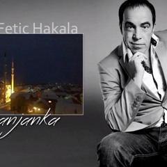 Nihad Fetic Hakala - 2015 - Sanjanka