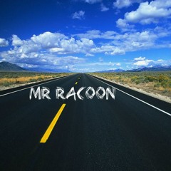Mr Racoon - Prieto