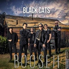 Black Cats - Booseh
