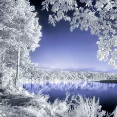 Bold Chuluunchimeg Zuudnii Amrag