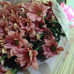 Born To Love You Forever❤️ - Ukulele Cover