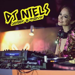 DJ Niels - Joget 8 Menit (BREAKBEAT) at 2015