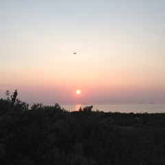 Ana Kidston remix 2015