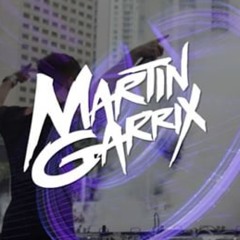 The Potential Martin Garrix