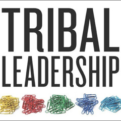 Tribal Leadership Part 1