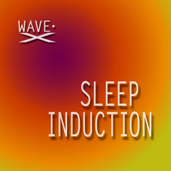 Sleep Induction Session