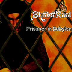 06 - ShakaRoot - Dubbing To Escape