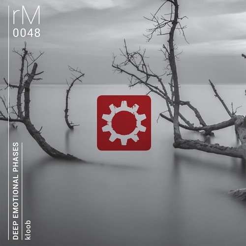 Trascendiendo Excerpt