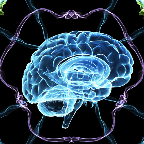 The left side skills