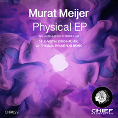 Murat Meijer - Physical (Original Mix)