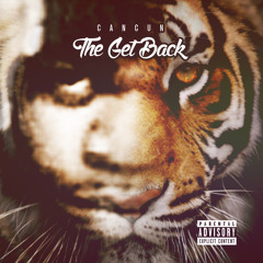 THE GET BACK CAKE MIX