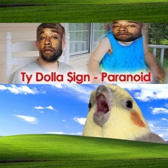 PARANOID ABOUT BIRDS