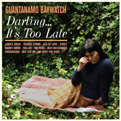 Too Late by Guantanamo Baywatch (featuring Curtis Harding)